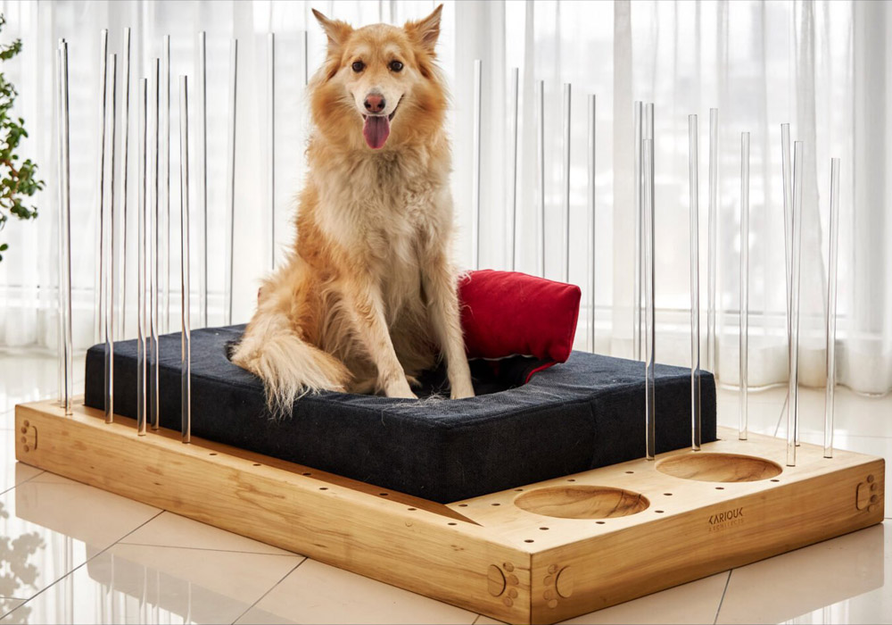 Pooch Pad Dog Bed by Kariouk Architects